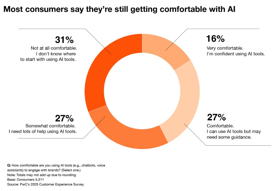 The Limitations of AI in Customer Experience - visual representation