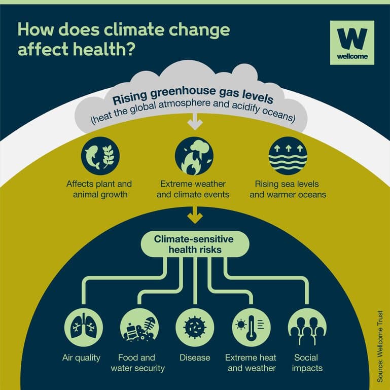 Environmental Consequences: Modeling Emissions Impacts - visual representation