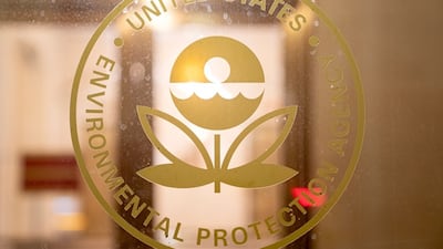 What the Plaintiffs' Case Looks Like - visual representation