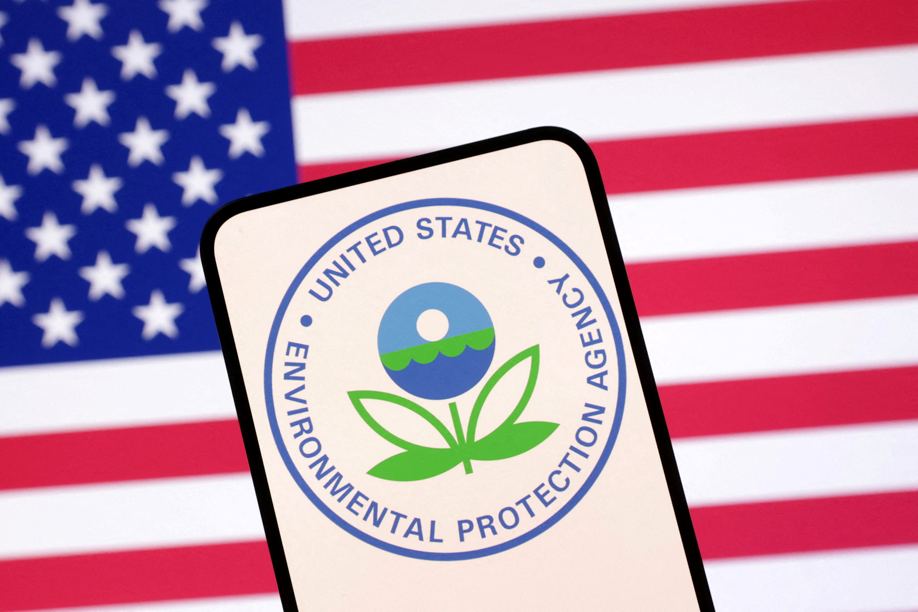 Environmental Impact: The Real-World Consequences - visual representation