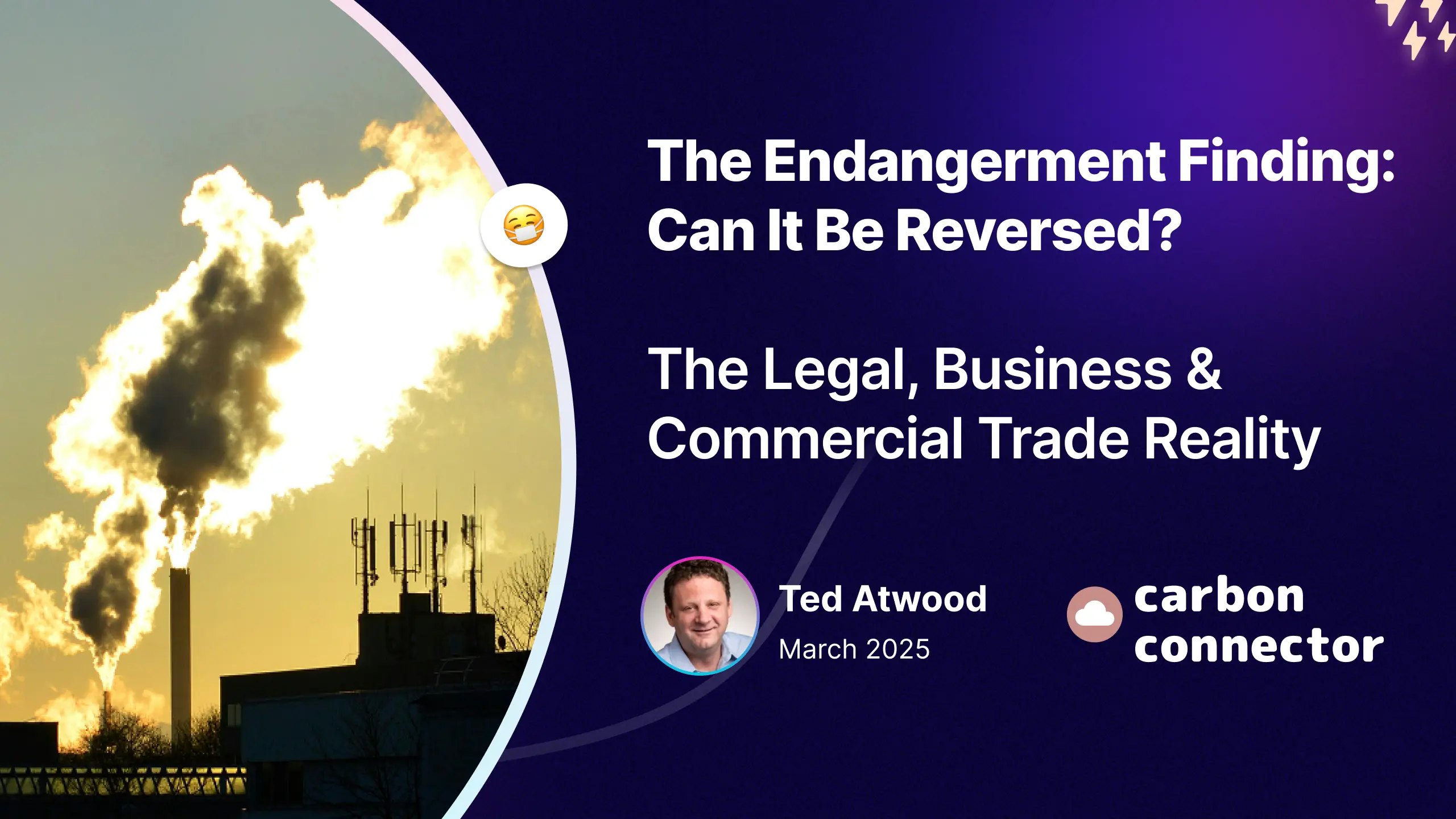 The Economic Argument: Will Deregulation Actually Cost Less? - visual representation