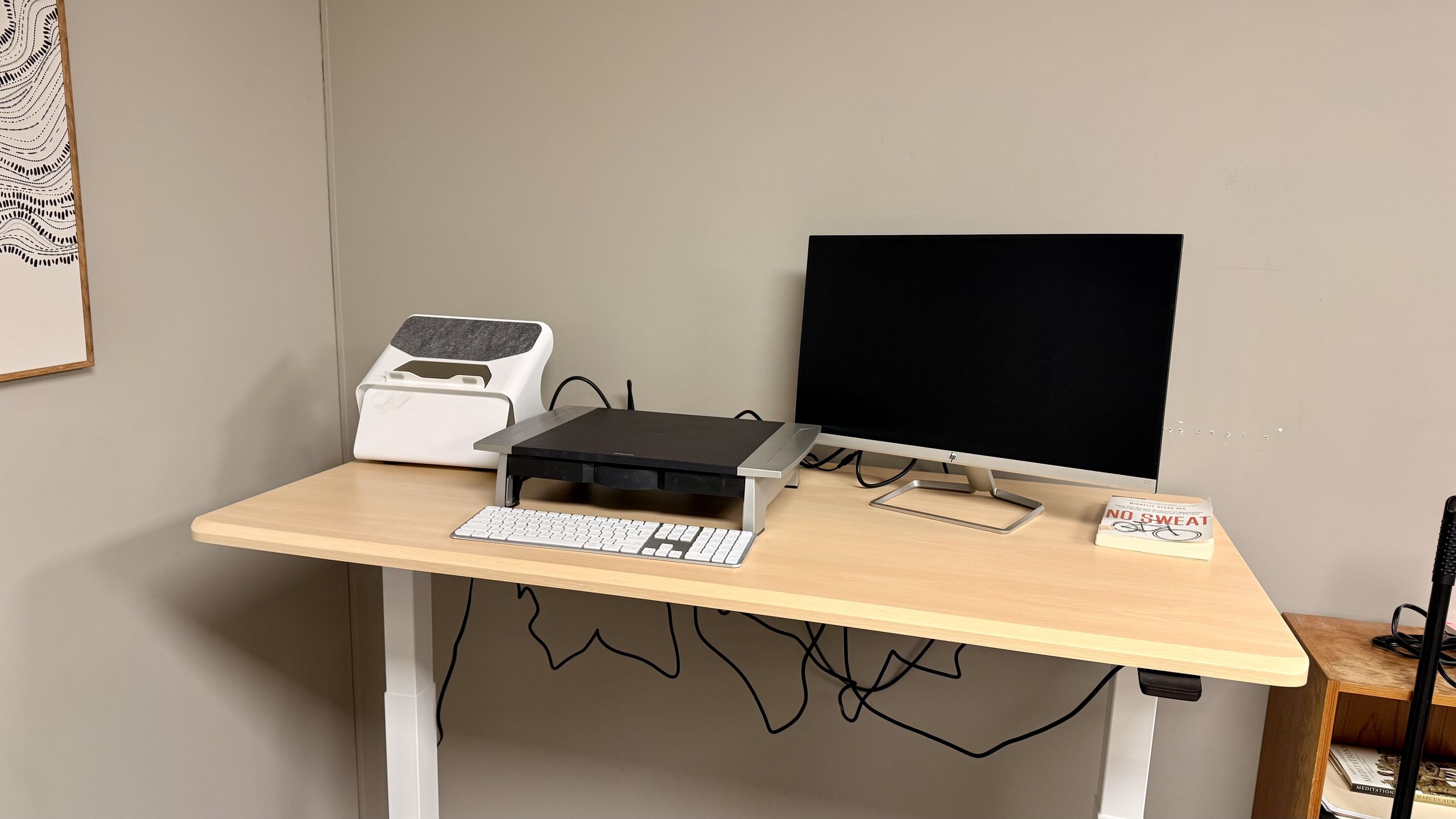 ErgoDriven Tempo Automatic Standing Desk review | TechRadar