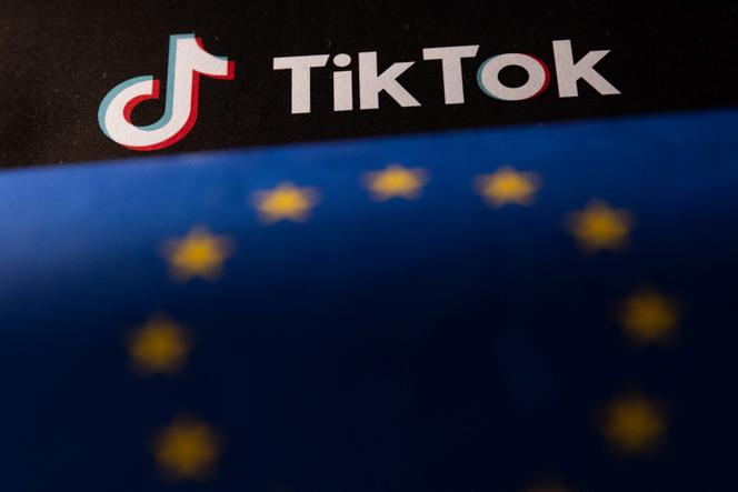 Why TikTok Is the Target: Algorithm, Data, and Politics - visual representation