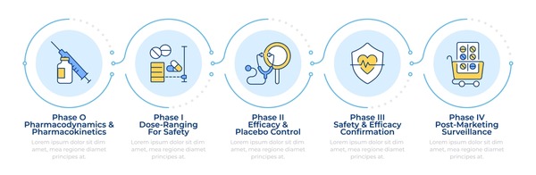 The Road to Approval in Europe - visual representation
