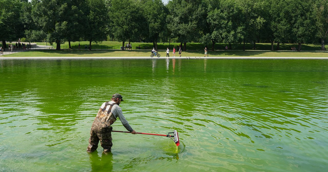 Even the Internet’s Favorite Pool Guy Doesn’t Know How to Fix the Reflecting Pool | WIRED