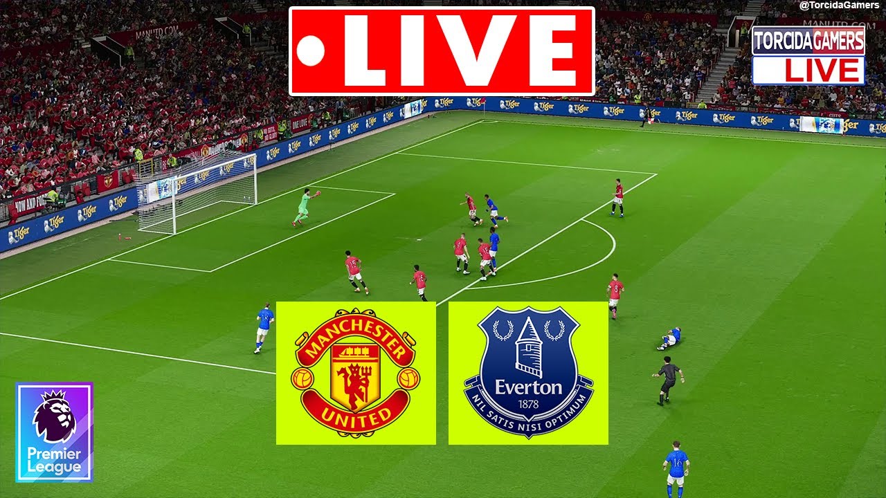 Subscription Optimization Strategies - visual representation