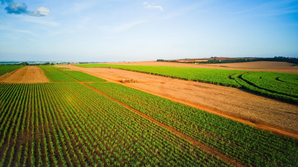 Everyone pays the price as patent holders on seeds stifle innovation - Ars Technica