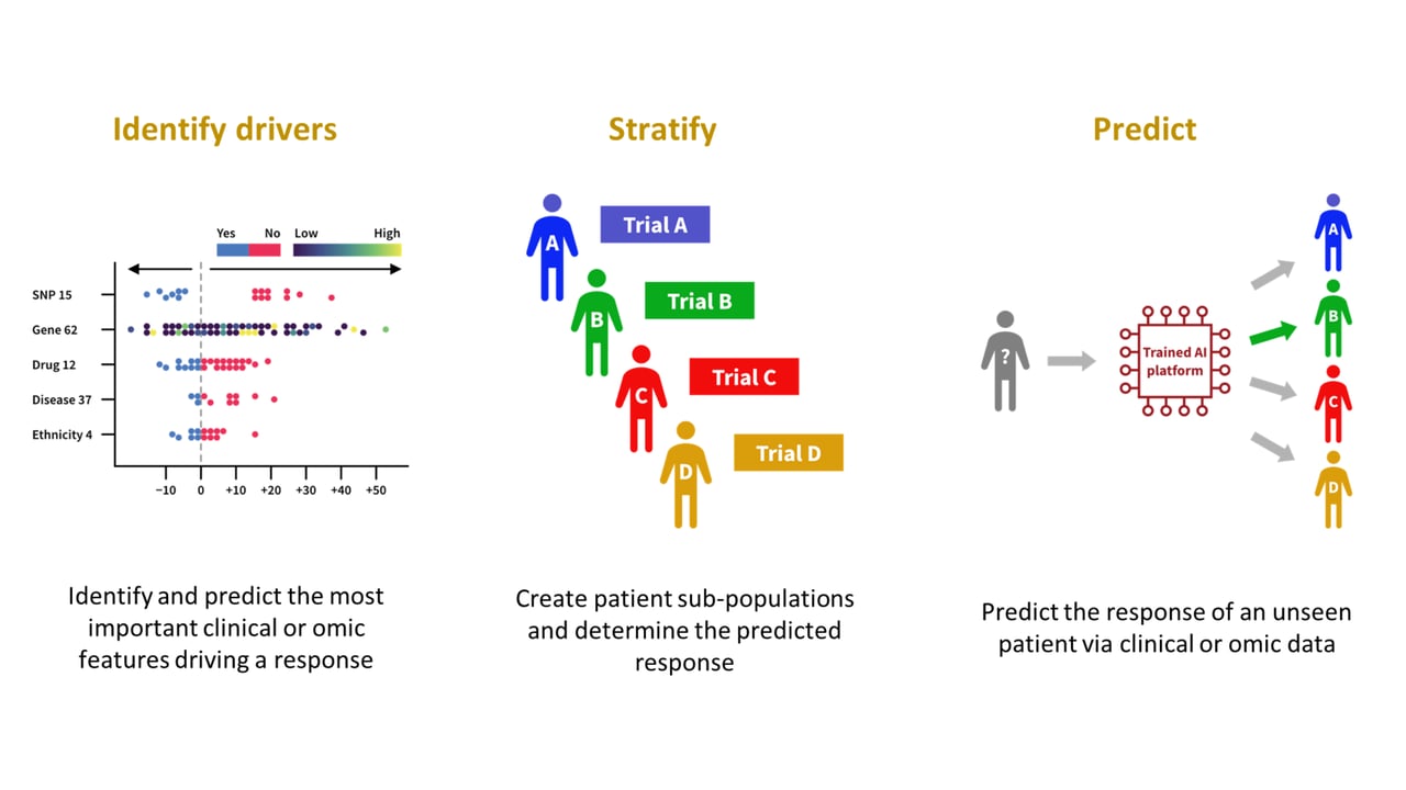 Conclusion - visual representation