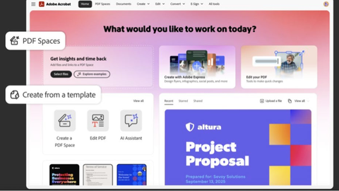 The Genesis of Acrobat Spaces - visual representation