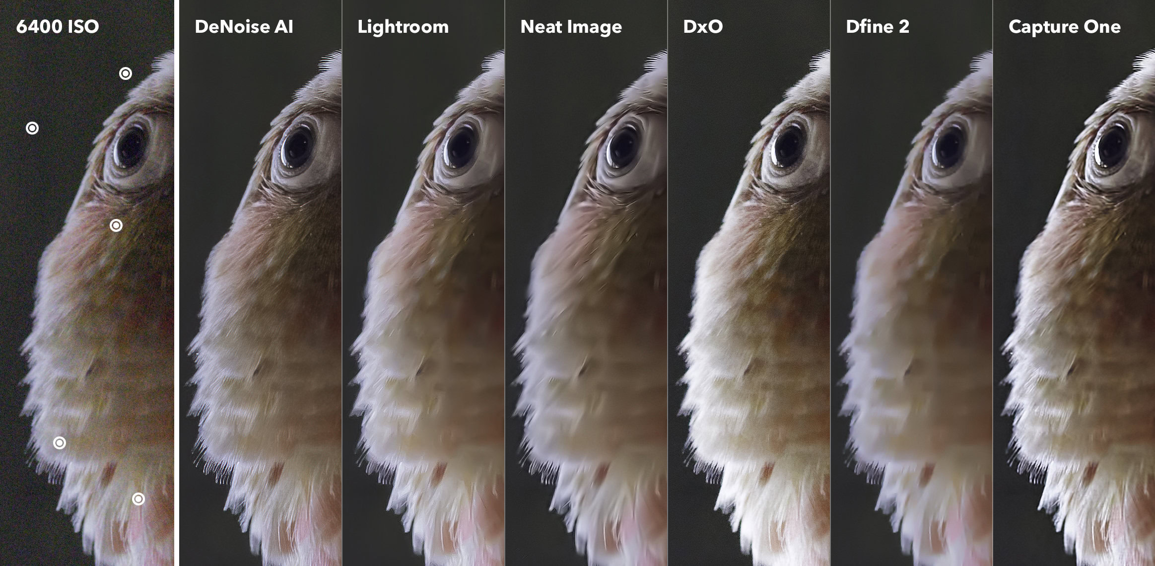 The Bad: Challenges and Pitfalls of AI in Photography - visual representation