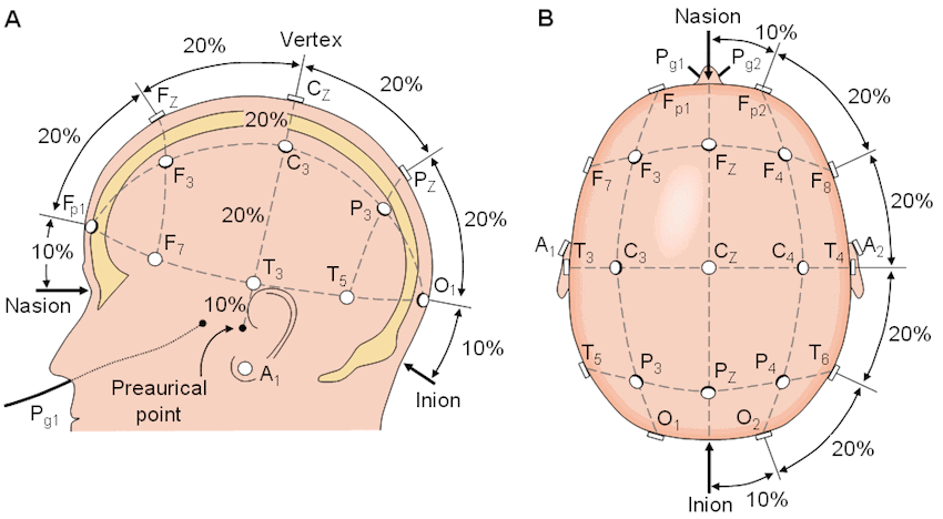 Understanding the Technology Behind Atlas - visual representation