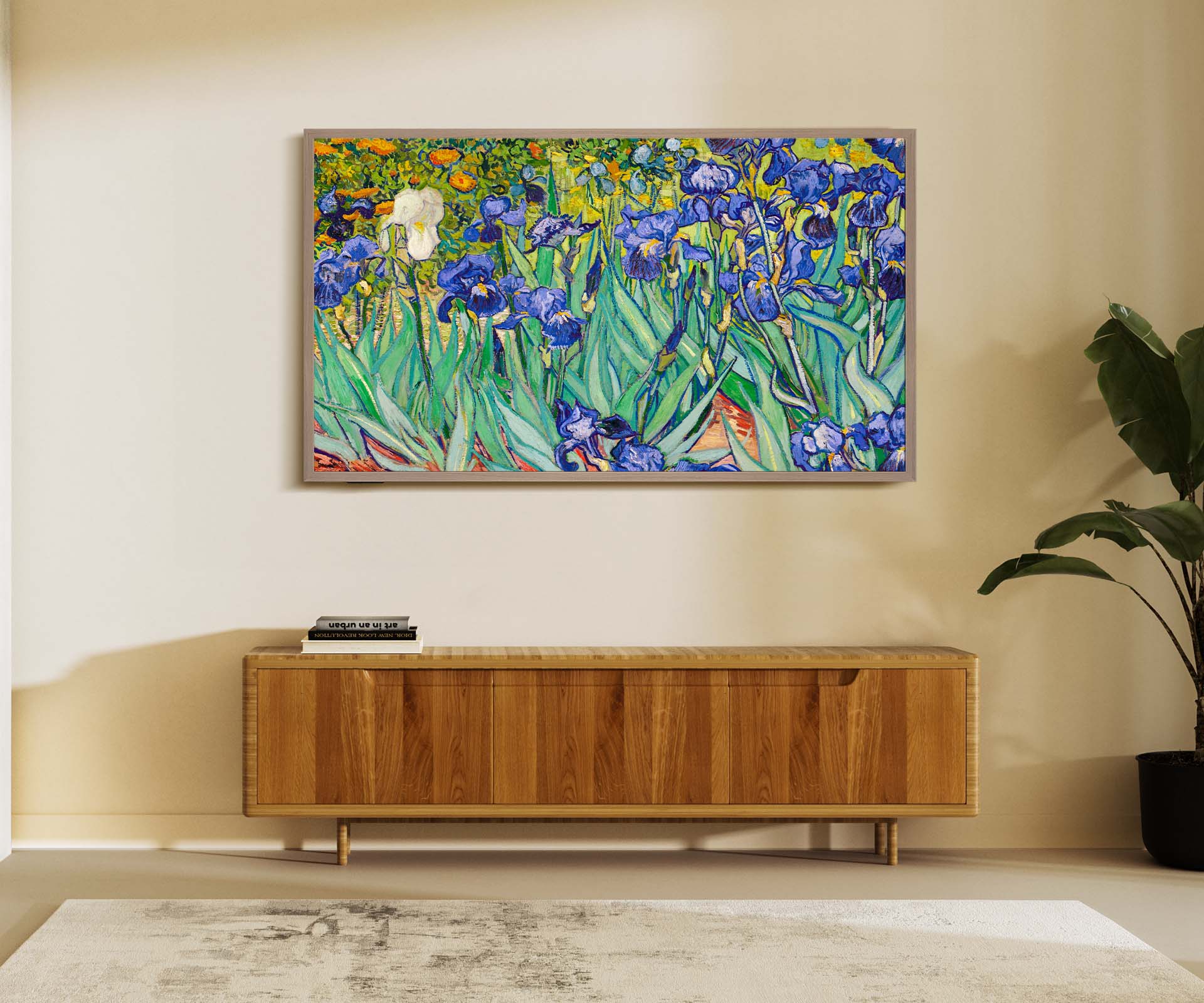 What Makes the Canvas TV Unique? - visual representation