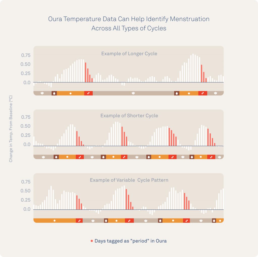 Understanding the Update - contextual illustration