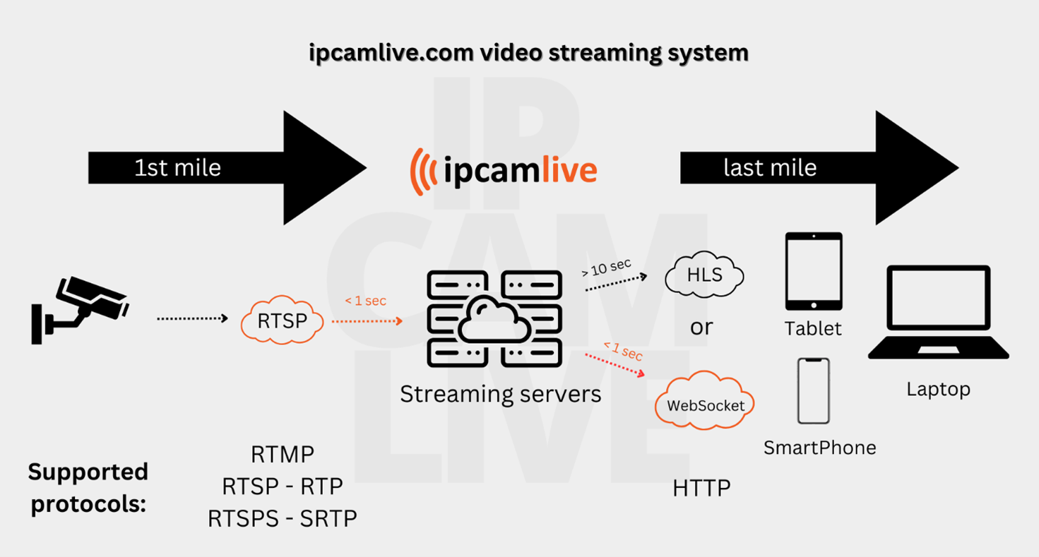 What the Update Brings - visual representation