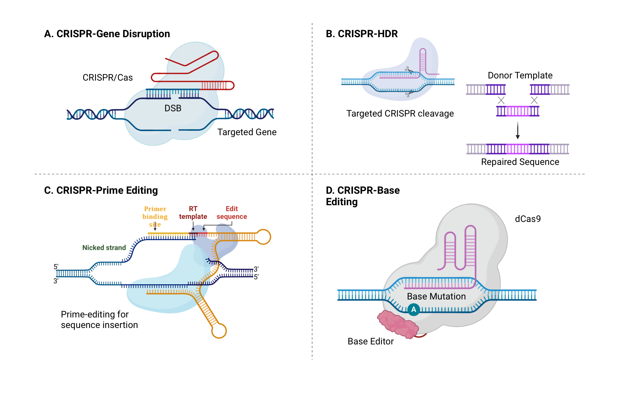 Key Technologies on Display - visual representation