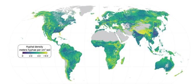 Mapping the Network: A Milestone in Ecological Research - contextual illustration
