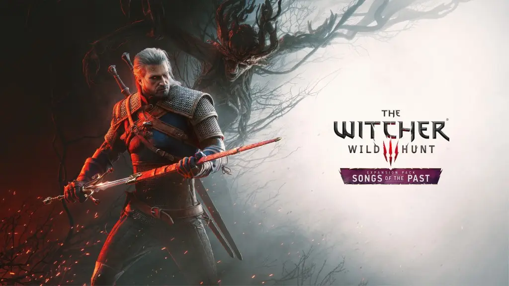 The Witcher's Legacy - visual representation