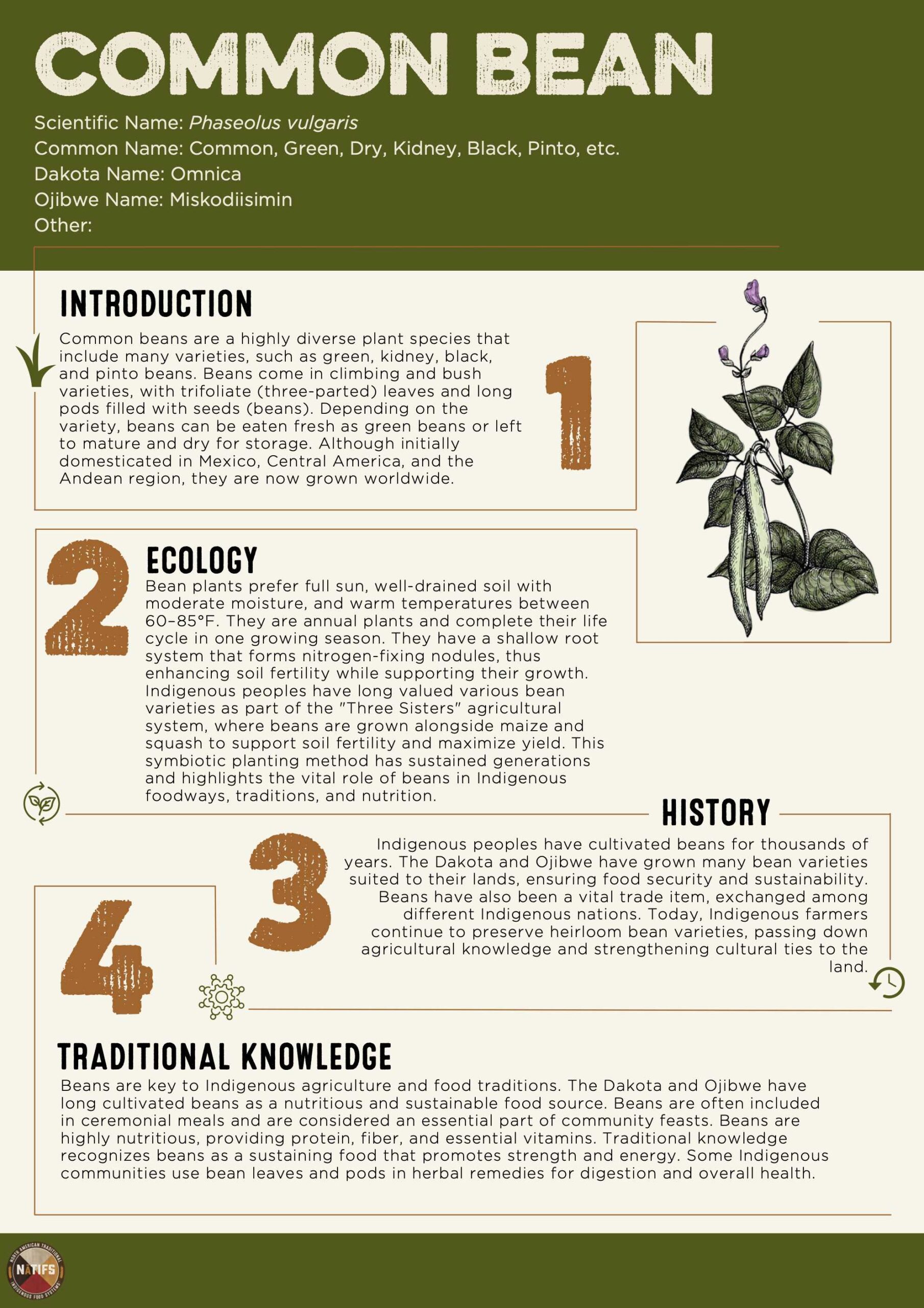 Common Pitfalls and Solutions - contextual illustration