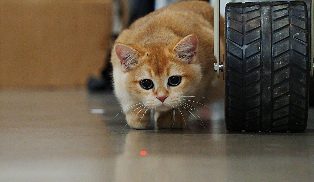 Future Trends in Pet Tech - visual representation