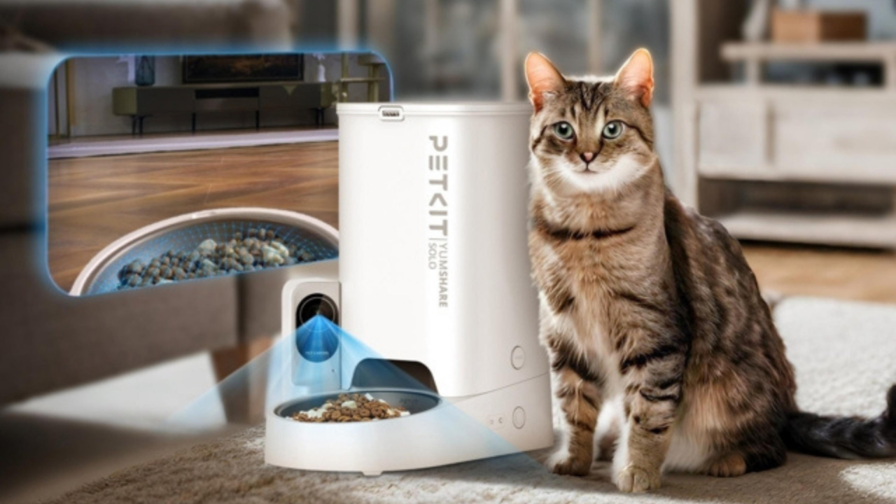 5. Pet Fountain - visual representation