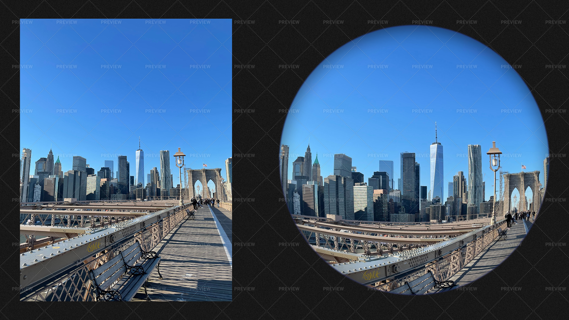 The Allure of Fisheye Photography - contextual illustration