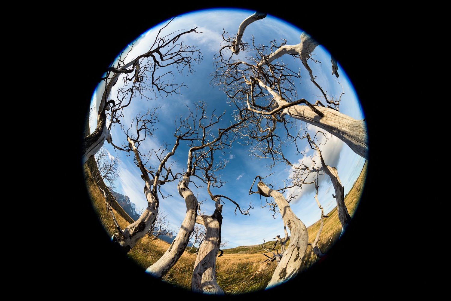 Creative Techniques for Fisheye Photography - contextual illustration