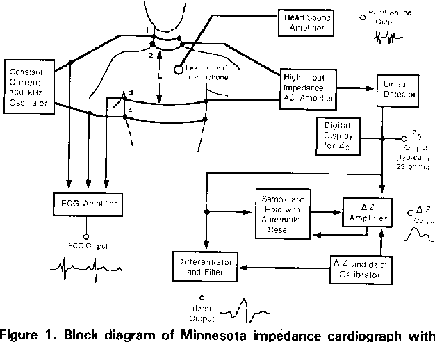 Key Features of the Body Scan 2 - contextual illustration