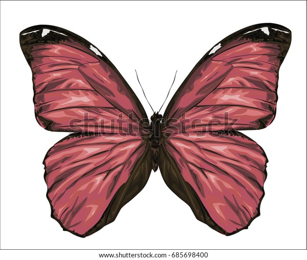 The Setup: A Simple Story That Works - contextual illustration