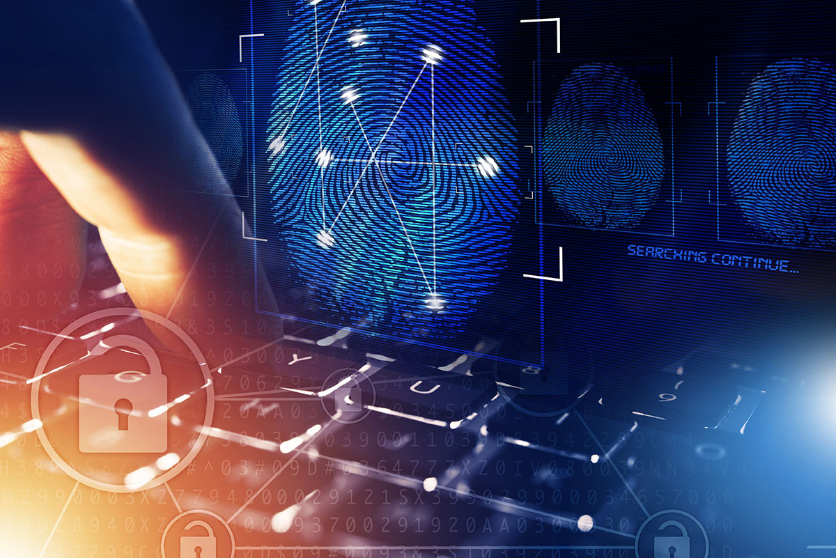 What Actually Happened: The Nancy Guthrie Case - visual representation