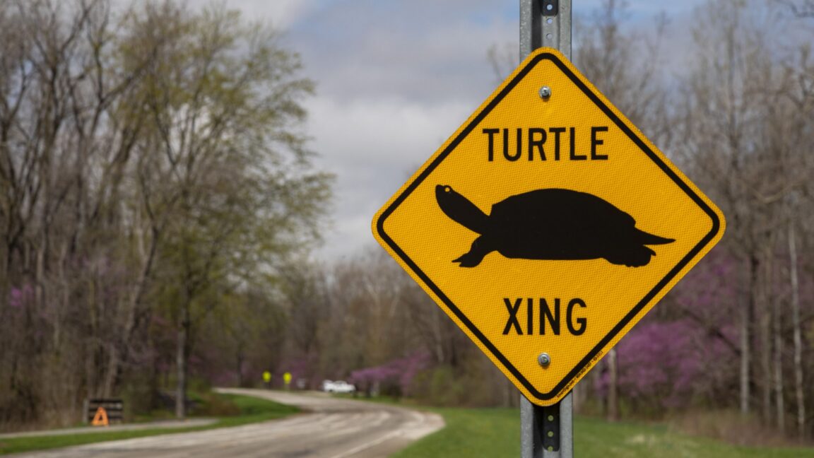 FCC abolishes gigabit speed goal, suggesting it is unfair to slower technologies - Ars Technica
