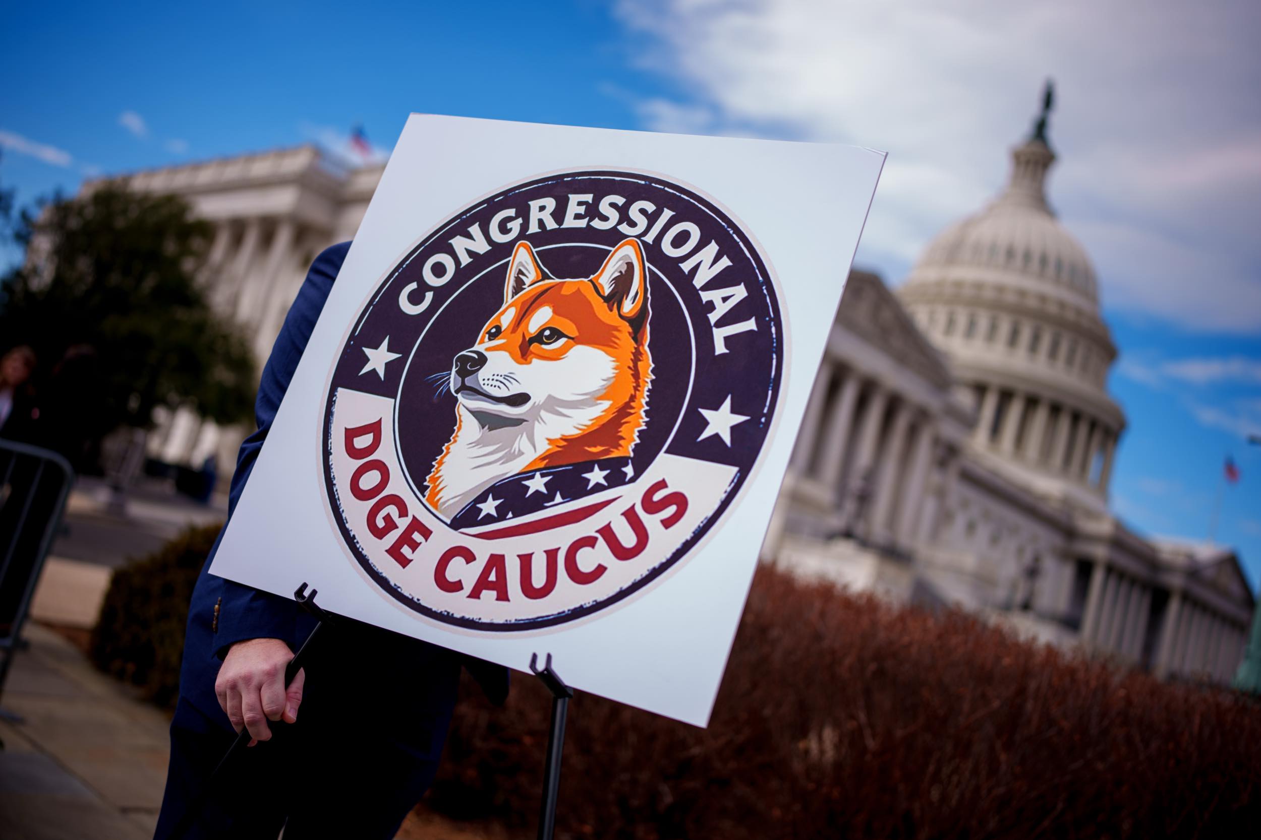 The Broader Questions About DOGE and Regulatory Agencies - visual representation