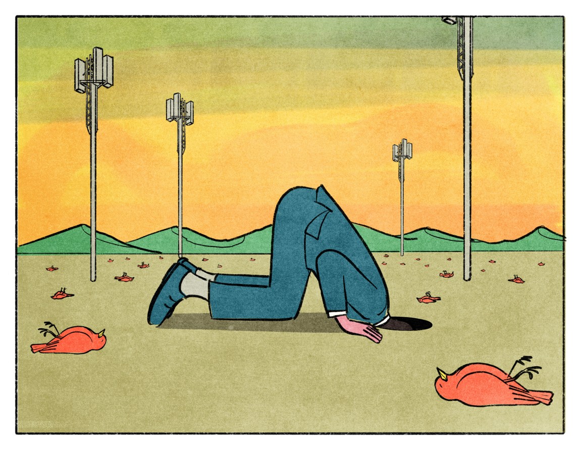 Understanding the FCC's Stance - contextual illustration