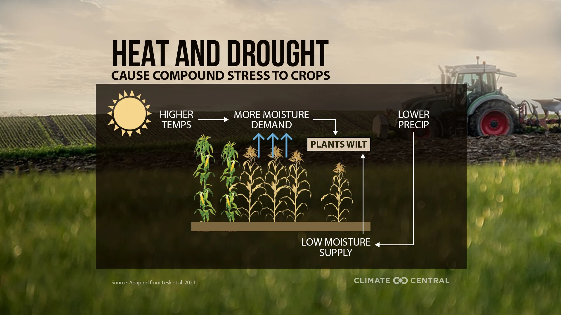 The Emergence of the US Climate Collection - visual representation