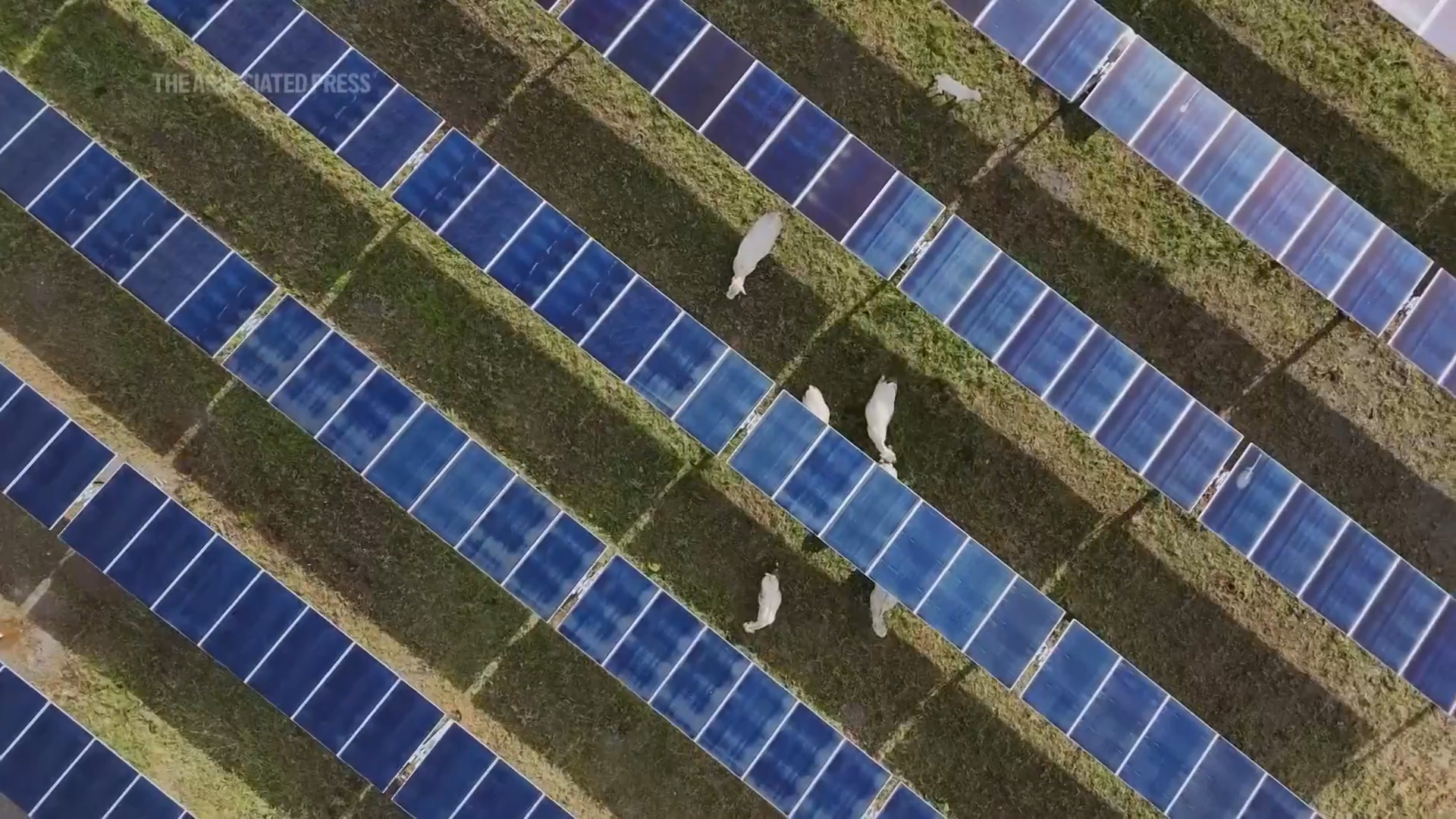 Fires linked to solar panels force Suffolk council to switch them off in 80 schools indefinitely | TechRadar