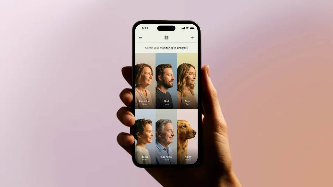 The Monetization Question: How Does This Actually Make Money - visual representation