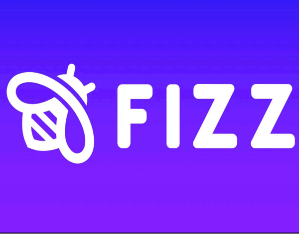 How Fizz Competes Against Instagram and Tik Tok - visual representation