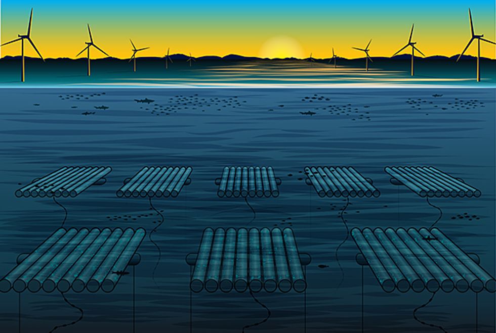 Environmental and Regulatory Challenges - contextual illustration