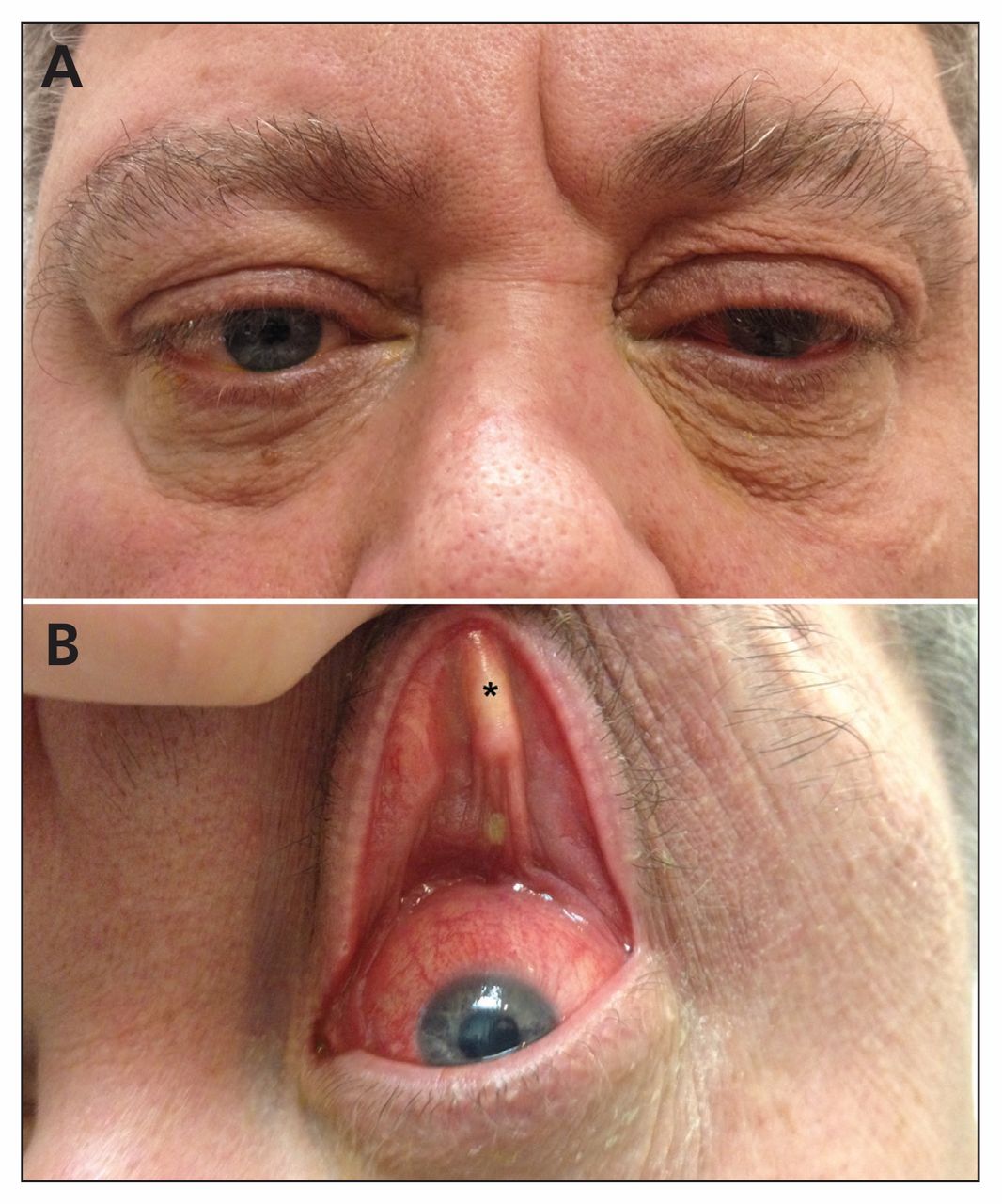Future Research: Understanding Why Some Tissues Degrade While Others Don't - visual representation