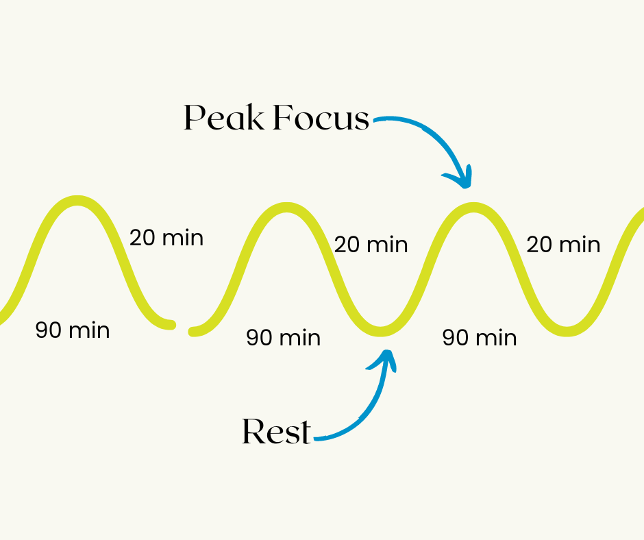 The 90-Minute Deep Work Cycle - contextual illustration