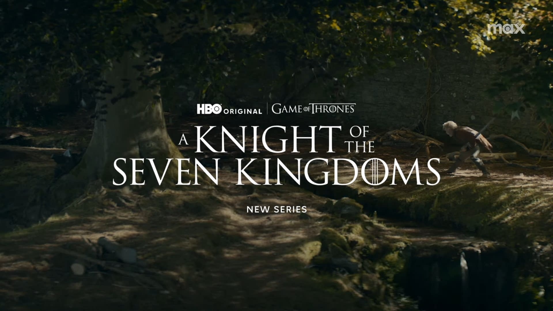 Looking Forward: What A Knight of the Seven Kingdoms Means for Westeros - visual representation