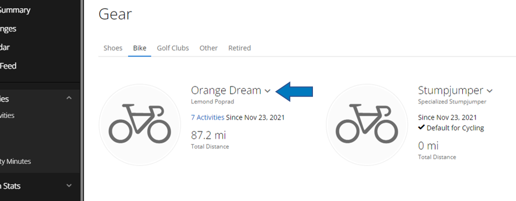 Summary and Action Steps - visual representation