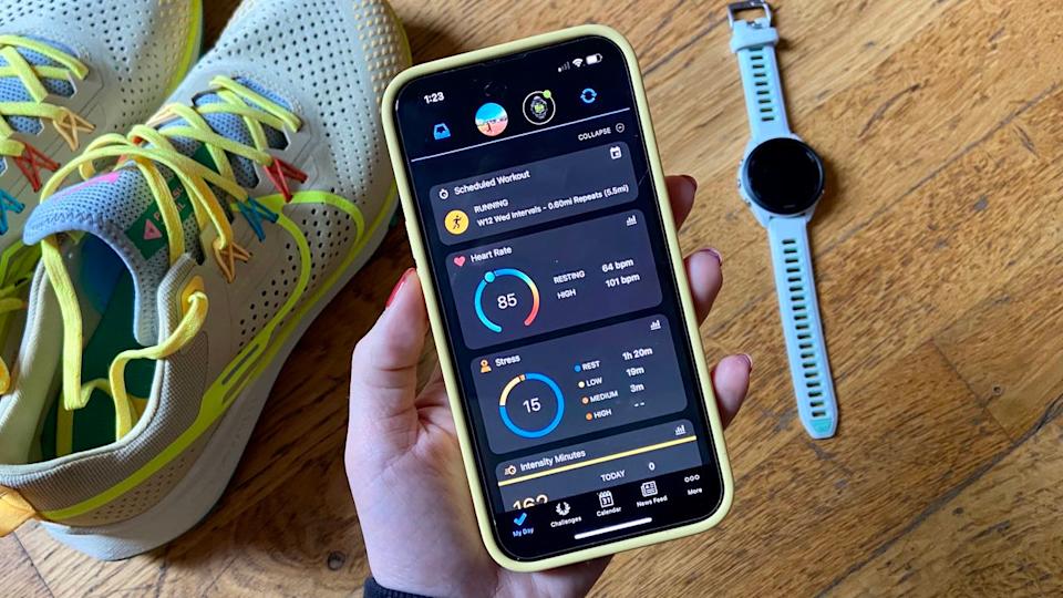 Potential Challenges and Limitations - visual representation