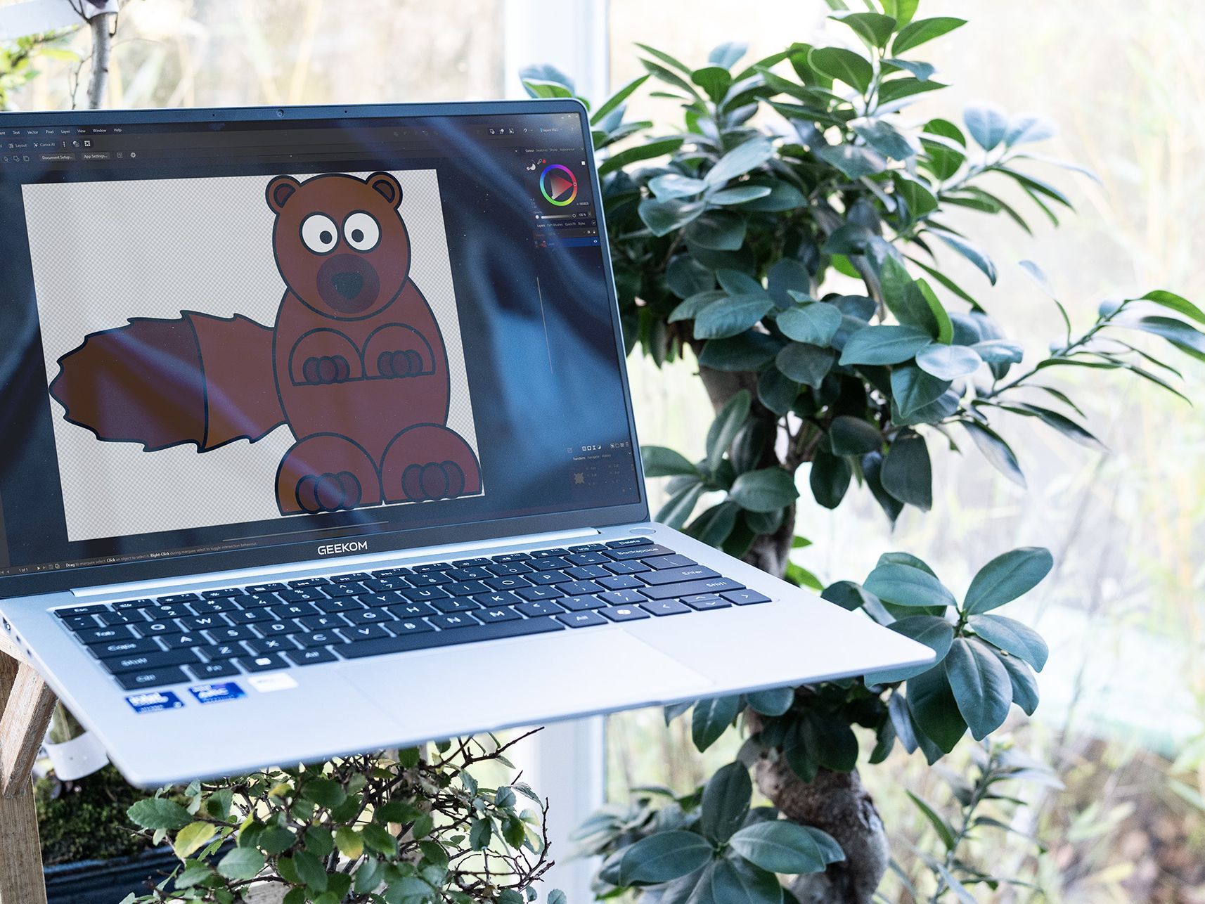 Software and Operating System Experience - visual representation