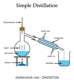Understanding Model Distillation: The Core Technique - visual representation