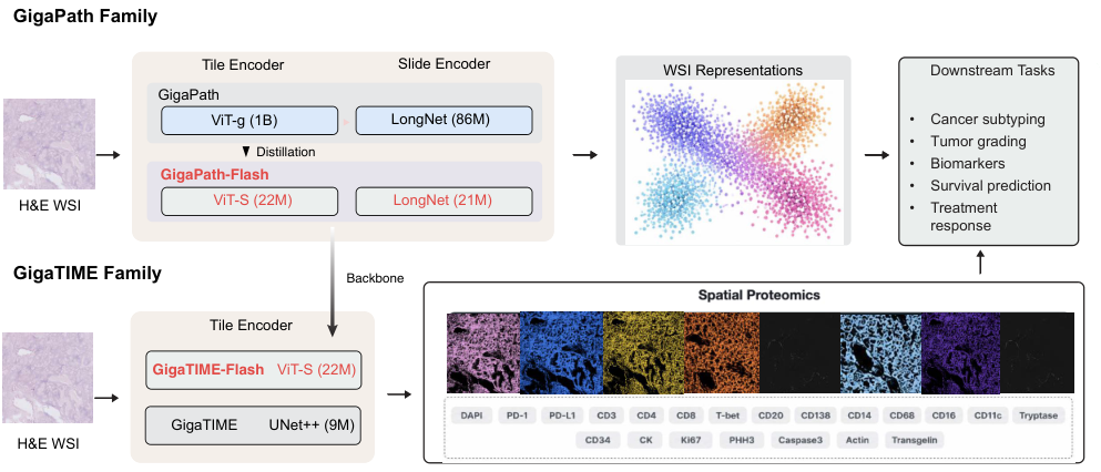 Giga TIME-Flash: Expanding Temporal Analysis - visual representation