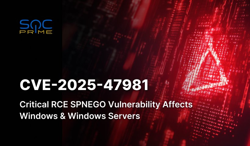 Conclusion: Acting Now on Critical Vulnerability - visual representation