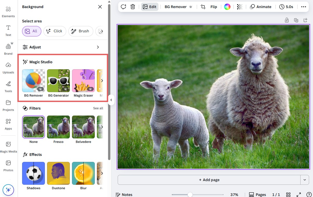 Integrating Google AI with Canva - contextual illustration