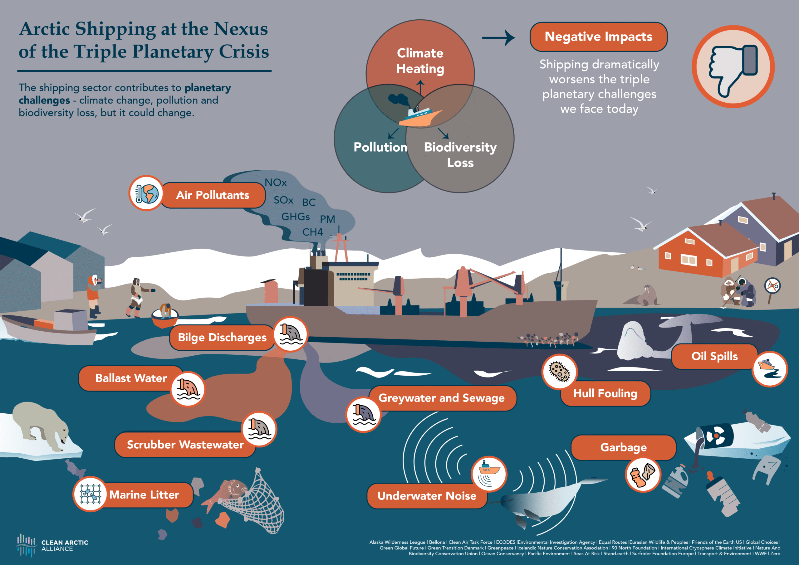 The Broader Coalition Effort - visual representation