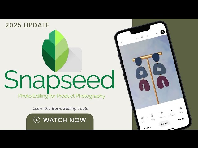 The Snapseed Alternative: Should You Consider Something Else? - visual representation
