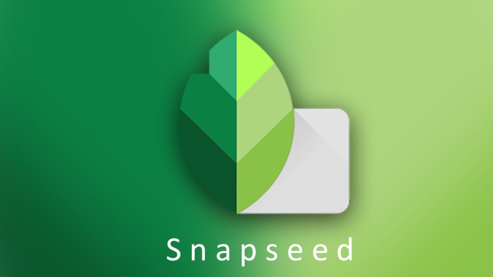 Conclusion: Snapseed's Camera is Worth Your Attention - visual representation